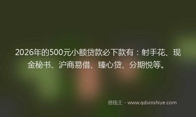 2026年的500元小额贷款必下款有:射手花、现金秘书、沪商易借、臻心贷、分期悦等。