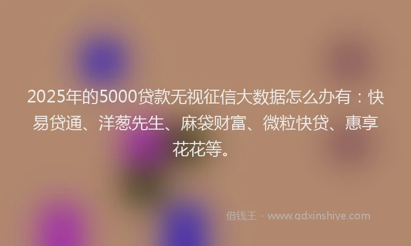 2025年的5000贷款无视征信大数据怎么办有：快易贷通、洋葱先生、麻袋财富、微粒快贷、惠享花花等。