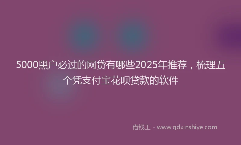 5000黑户必过的网贷有哪些2025年推荐，梳理五个凭支付宝花呗贷款的软件