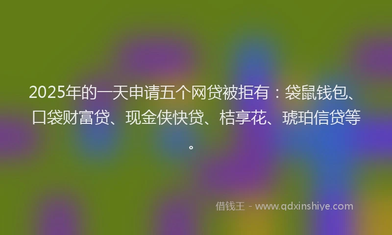 2025年的一天申请五个网贷被拒有：袋鼠钱包、口袋财富贷、现金侠快贷、桔享花、琥珀信贷等。