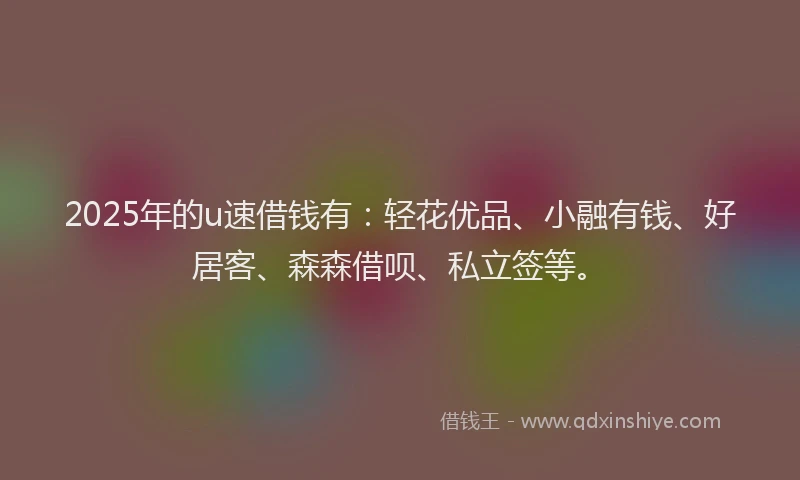 2025年的u速借钱有：轻花优品、小融有钱、好居客、森森借呗、私立签等。