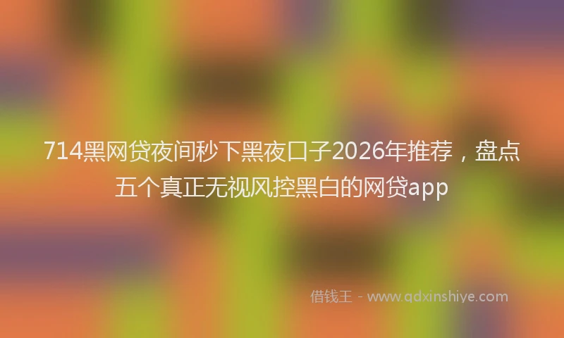 714黑网贷夜间秒下黑夜口子2026年推荐，盘点五个真正无视风控黑白的网贷app