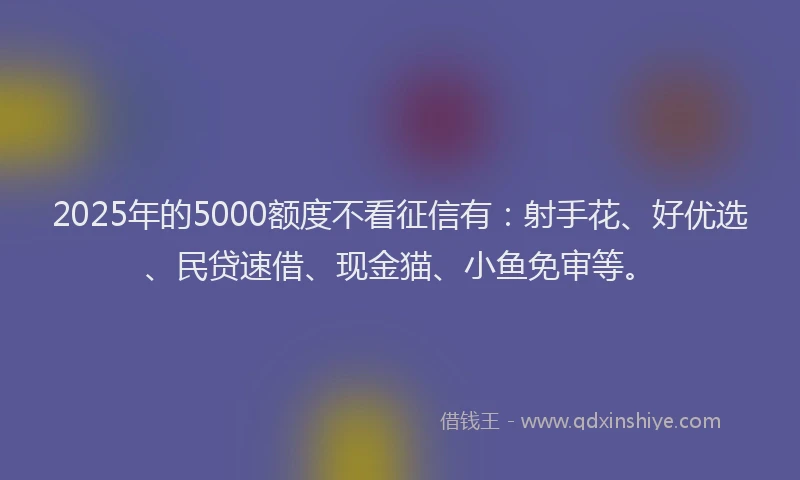 2025年的5000额度不看征信有:射手花、好优选、民贷速借、现金猫、小鱼免审等。