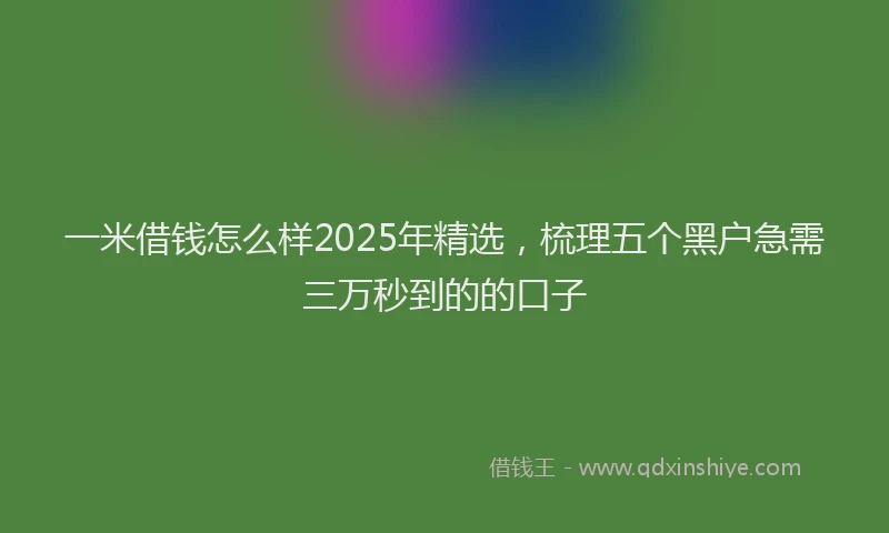 一米借钱怎么样2025年精选，梳理五个黑户急需三万秒到的的口子