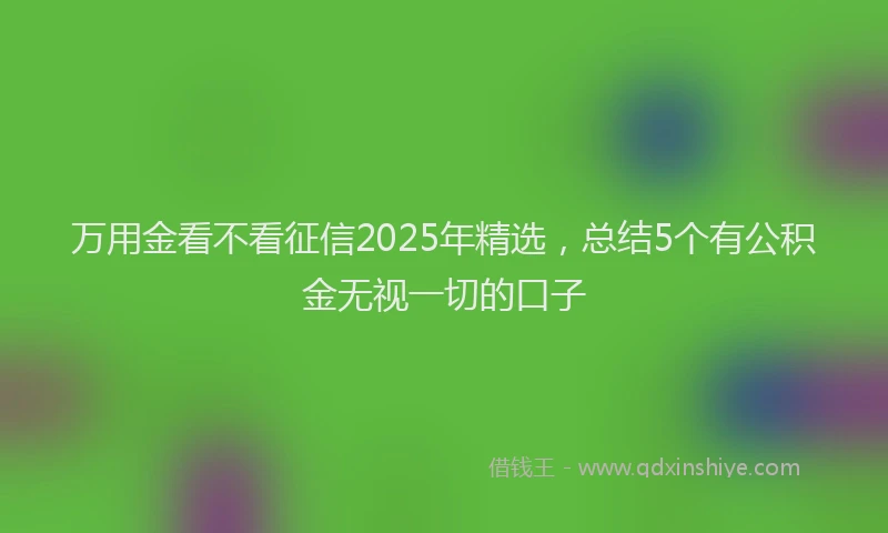 万用金看不看征信2025年精选，总结5个有公积金无视一切的口子
