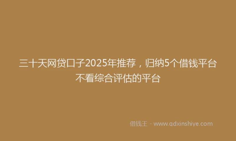 三十天网贷口子2025年推荐，归纳5个借钱平台不看综合评估的平台