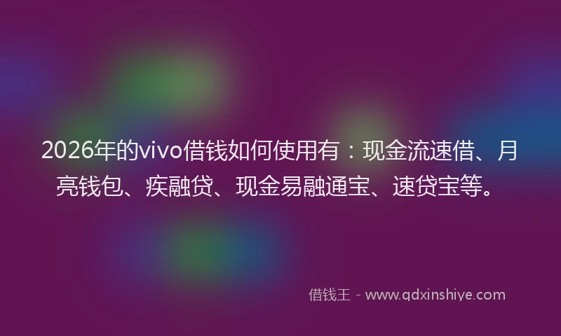 2026年的vivo借钱如何使用有：现金流速借、月亮钱包、疾融贷、现金易融通宝、速贷宝等。