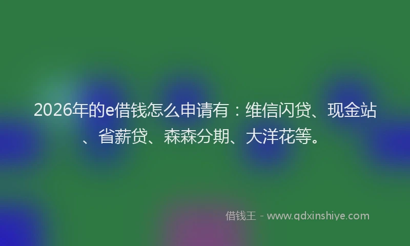 2026年的e借钱怎么申请有：维信闪贷、现金站、省薪贷、森森分期、大洋花等。