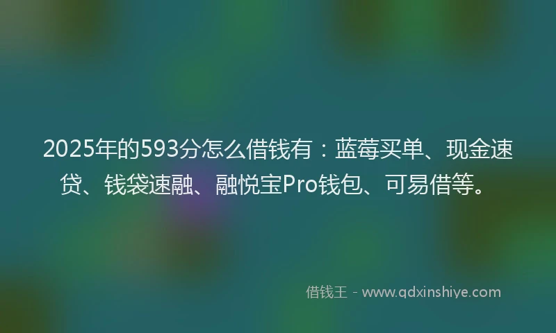 2025年的593分怎么借钱有：蓝莓买单、现金速贷、钱袋速融、融悦宝Pro钱包、可易借等。