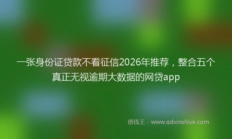 一张身份证贷款不看征信2026年推荐，整合五个真正无视逾期大数据的网贷app