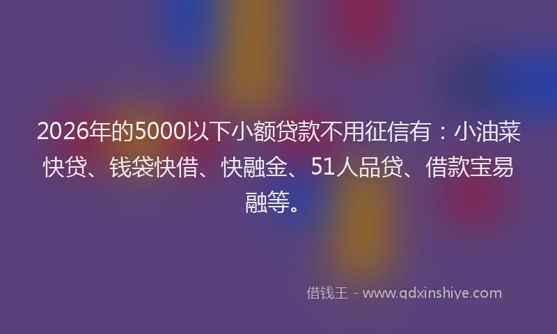 2026年的5000以下小额贷款不用征信有：小油菜快贷、钱袋快借、快融金、51人品贷、借款宝易融等。