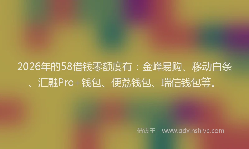 2026年的58借钱零额度有：金峰易购、移动白条、汇融Pro+钱包、便荔钱包、瑞信钱包等。