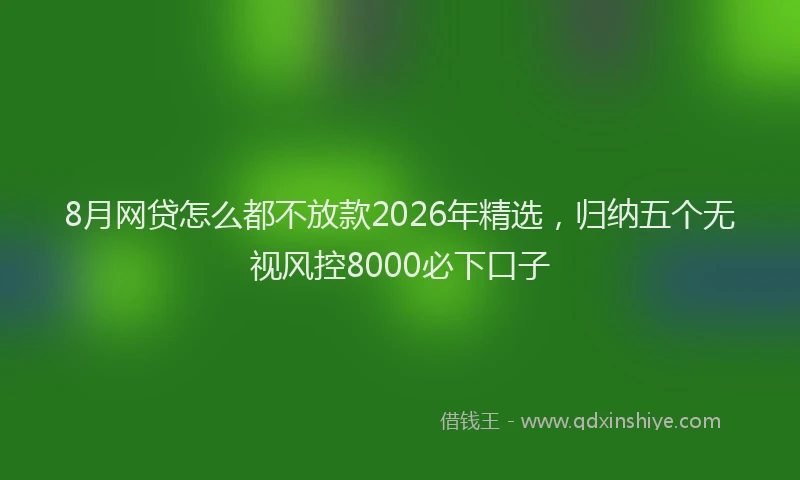 8月网贷怎么都不放款2026年精选,归纳五个无视风控8000必下口子