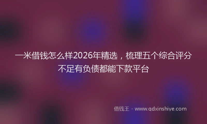 一米借钱怎么样2026年精选，梳理五个综合评分不足有负债都能下款平台
