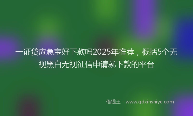 一证贷应急宝好下款吗2025年推荐，概括5个无视黑白无视征信申请就下款的平台