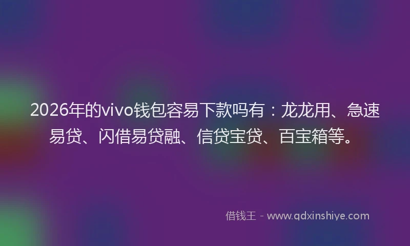 2026年的vivo钱包容易下款吗有:龙龙用、急速易贷、闪借易贷融、信贷宝贷、百宝箱等。