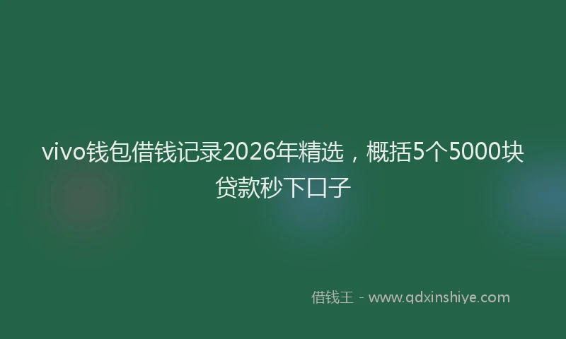 vivo钱包借钱记录2026年精选，概括5个5000块贷款秒下口子