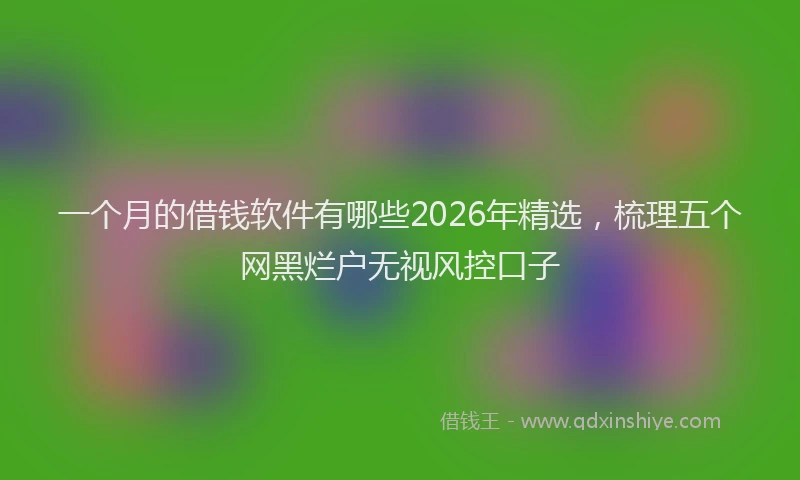 一个月的借钱软件有哪些2026年精选，梳理五个网黑烂户无视风控口子