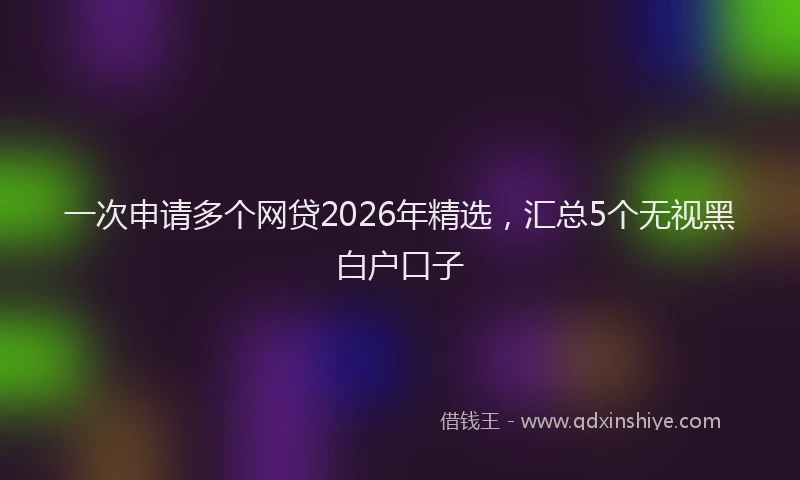 一次申请多个网贷2026年精选，汇总5个无视黑白户口子