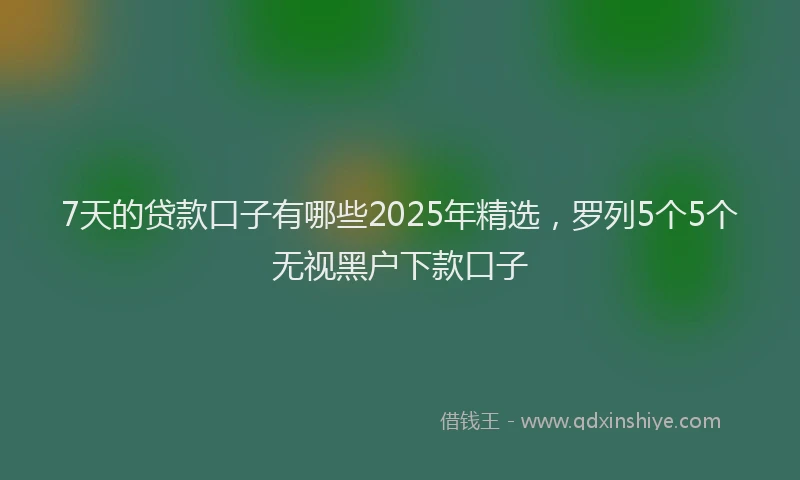 7天的贷款口子有哪些2025年精选，罗列5个5个无视黑户下款口子