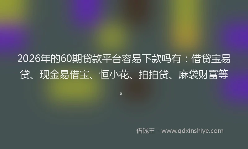 2026年的60期贷款平台容易下款吗有:借贷宝易贷、现金易借宝、恒小花、拍拍贷、麻袋财富等。