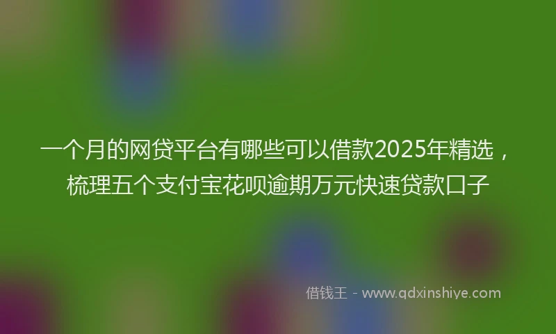 一个月的网贷平台有哪些可以借款2025年精选，梳理五个支付宝花呗逾期万元快速贷款口子
