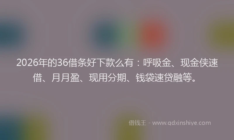 2026年的36借条好下款么有:呼吸金、现金侠速借、月月盈、现用分期、钱袋速贷融等。