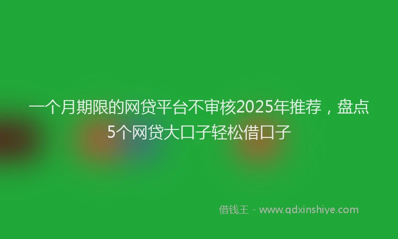 一个月期限的网贷平台不审核2025年推荐，盘点5个网贷大口子轻松借口子