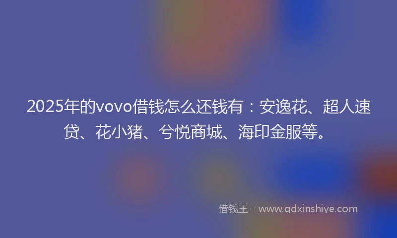 2025年的vovo借钱怎么还钱有：安逸花、超人速贷、花小猪、兮悦商城、海印金服等。