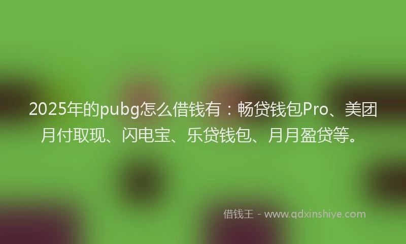 2025年的pubg怎么借钱有：畅贷钱包Pro、美团月付取现、闪电宝、乐贷钱包、月月盈贷等。