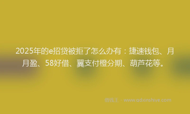 2025年的e招贷被拒了怎么办有：捷速钱包、月月盈、58好借、翼支付橙分期、葫芦花等。