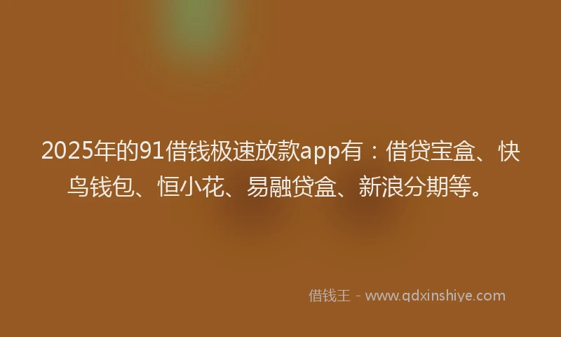 2025年的91借钱极速放款app有：借贷宝盒、快鸟钱包、恒小花、易融贷盒、新浪分期等。