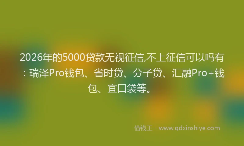 2026年的5000贷款无视征信,不上征信可以吗有：瑞泽Pro钱包、省时贷、分子贷、汇融Pro+钱包、宜口袋等。