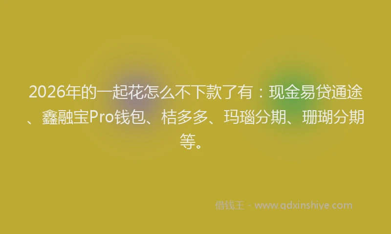 2026年的一起花怎么不下款了有:现金易贷通途、鑫融宝Pro钱包、桔多多、玛瑙分期、珊瑚分期等。