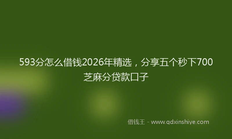593分怎么借钱2026年精选,分享五个秒下700芝麻分贷款口子