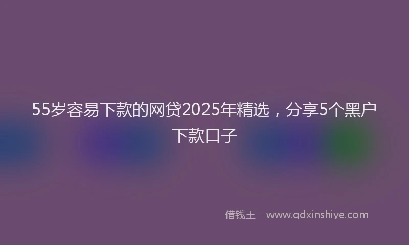 55岁容易下款的网贷2025年精选,分享5个黑户下款口子
