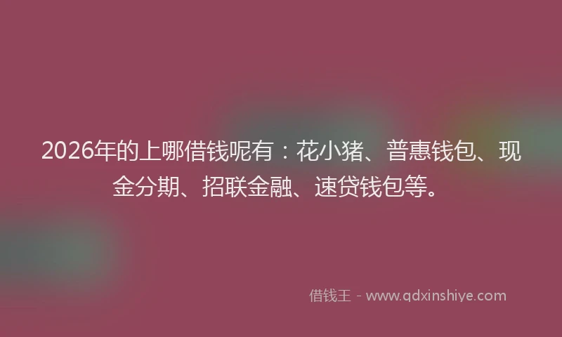 2026年的上哪借钱呢有：花小猪、普惠钱包、现金分期、招联金融、速贷钱包等。
