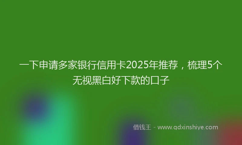 一下申请多家银行信用卡2025年推荐,梳理5个无视黑白好下款的口子