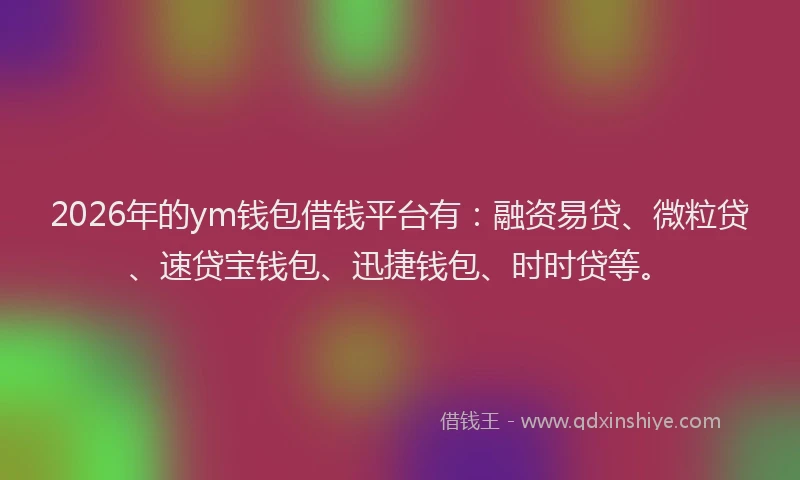 2026年的ym钱包借钱平台有：融资易贷、微粒贷、速贷宝钱包、迅捷钱包、时时贷等。