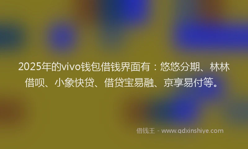 2025年的vivo钱包借钱界面有：悠悠分期、林林借呗、小象快贷、借贷宝易融、京享易付等。