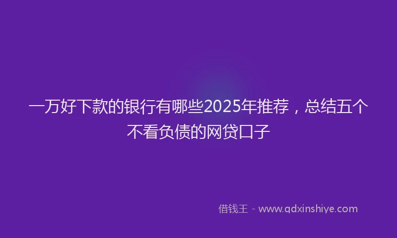 一万好下款的银行有哪些2025年推荐，总结五个不看负债的网贷口子
