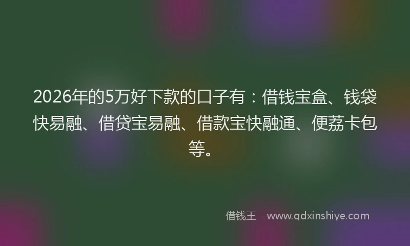 2026年的5万好下款的口子有:借钱宝盒、钱袋快易融、借贷宝易融、借款宝快融通、便荔卡包等。