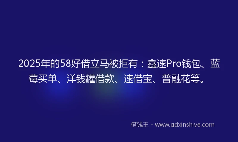 2025年的58好借立马被拒有:鑫速Pro钱包、蓝莓买单、洋钱罐借款、速借宝、普融花等。
