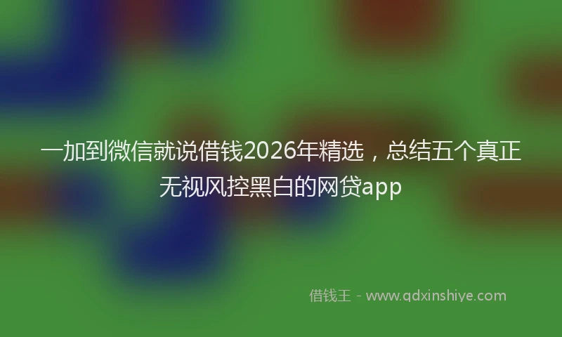 一加到微信就说借钱2026年精选,总结五个真正无视风控黑白的网贷app