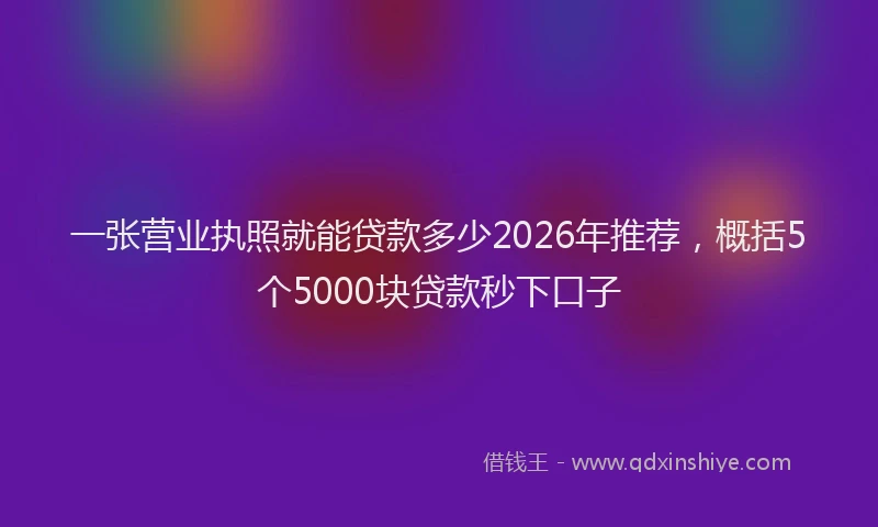 一张营业执照就能贷款多少2026年推荐，概括5个5000块贷款秒下口子