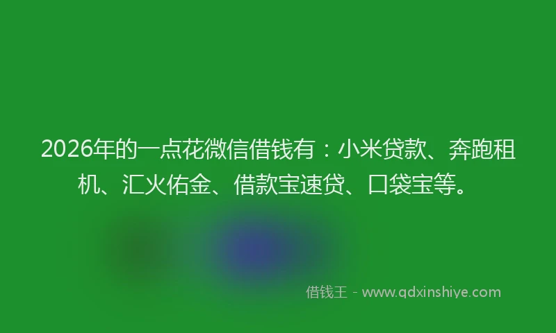 2026年的一点花微信借钱有：小米贷款、奔跑租机、汇火佑金、借款宝速贷、口袋宝等。