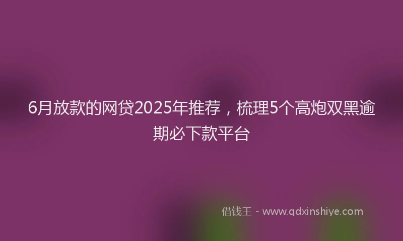 6月放款的网贷2025年推荐，梳理5个高炮双黑逾期必下款平台