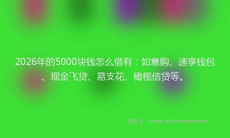 2026年的5000块钱怎么借有：如意购、速享钱包、现金飞贷、易支花、橄榄信贷等。