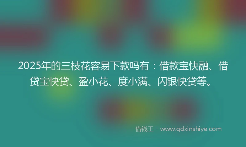 2025年的三枝花容易下款吗有：借款宝快融、借贷宝快贷、盈小花、度小满、闪银快贷等。