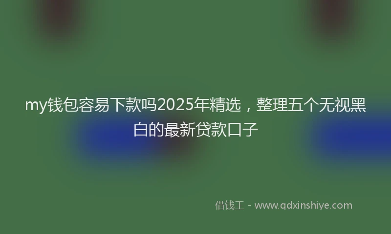 my钱包容易下款吗2025年精选，整理五个无视黑白的最新贷款口子